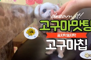꿈미래 TV <고구마 맛탕, 고구마 칩 만들기>