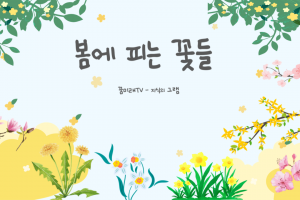 [지그램] 봄에 피는 꽃들의 꽃말을 살펴 봄…♥